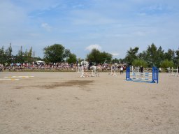 DSC_9485_web